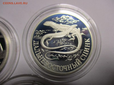 красная книга 1998 год - IMG_8749.JPG