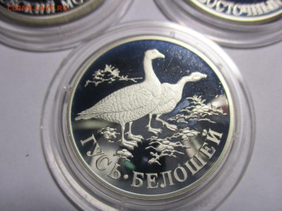 красная книга 1998 год - IMG_8750.JPG