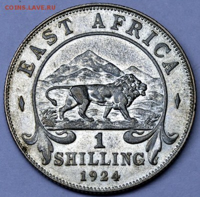 Британская Вост. Африка_"львиный" шиллинг 1924; 05.11_22.29м - 12675