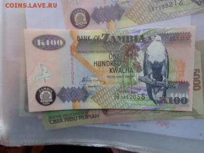 Замбия 50-100-100 квачу   UNC до 21-45 мск 9,11 - DSC06194.JPG