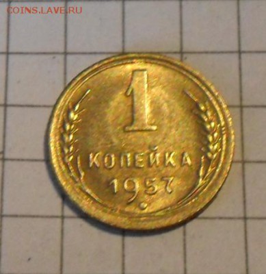 1 коп.-1957 года-В шт.Блеске.. 9.11.16 в 22-00 МСК - SAM_0666.JPG