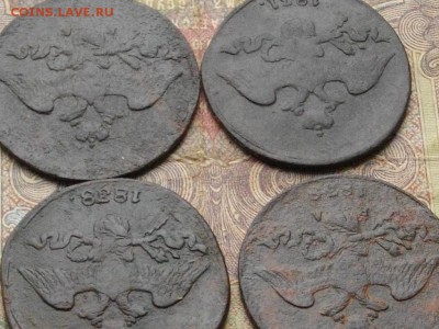 2 копейки (крылья вниз) 4 шт до 09 11 16 22-00 мск - IMGP0484.JPG