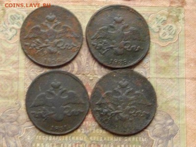 2 копейки (крылья вниз) 4 шт до 09 11 16 22-00 мск - IMGP0482.JPG