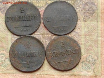 2 копейки (крылья вниз) 4 шт до 09 11 16 22-00 мск - IMGP0478.JPG