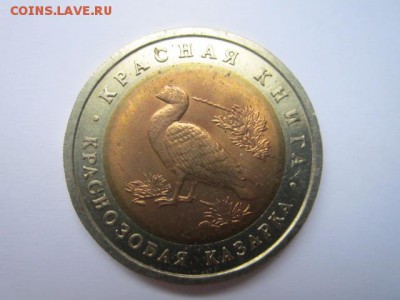 с 200 кк 1992 Казарка до 12.11.2016 в 22:30 - IMG_1162.JPG