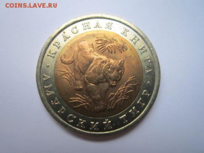 с 200 кк 1992 Тигр до 12.11.2016 в 22:30 - IMG_1160.JPG