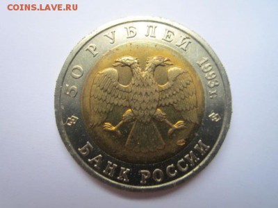 с 200 кк 1993 Медведь до 12.11.2016 в 22:30 - IMG_1167.JPG