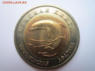 с 200 кк 1993 Афалина до 12.11.2016 в 22:30 - IMG_1172.JPG