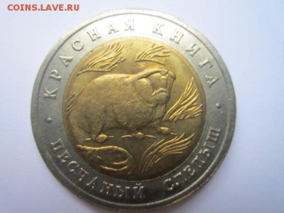 с 200 кк 1994 Слепыш анц до 12.11.2016 в 22:30 - IMG_1179.JPG