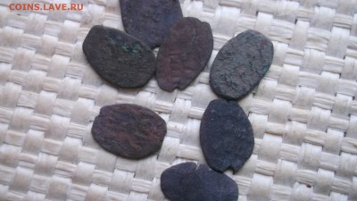 Чешуя 13 серебо 7 медь + бонус - DSCF3680.JPG