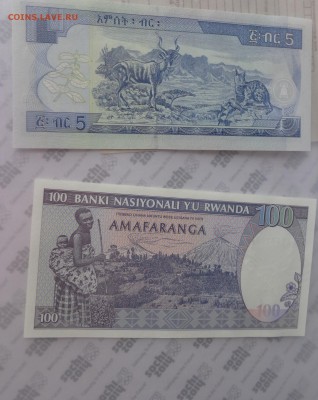 Эфиопия 5,Руанда 100   UNC  до 21-45 мск  10.11 - DSC04716.JPG