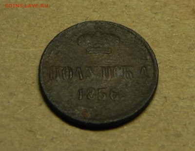Полушка 1856г.  до 09.11.2016 в 22.00 - DSCN5278.JPG