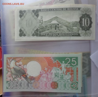 Боливия 10,Суринам 25 UNC в 21-55 мск  10.11 - DSC04787.JPG