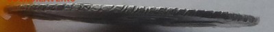 Подлинность Алтын 1704 БК и 5 копеек 1798 СМ-ОМ . - SAM_7341.JPG