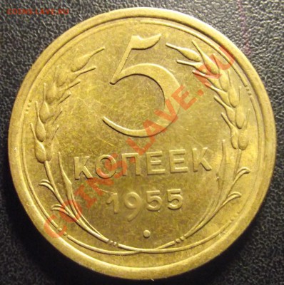 5 коп 1955 г.  Жирный сохран коллекц АНЦ до 28.12 22-00 МСК - 2010_12260013.JPG
