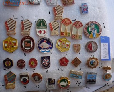 Юный ХИМИК и кроликовод   алюм до 13.11 - DSC05811.JPG