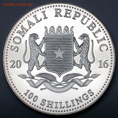 Сомали_100 шиллингов 2016 "Африканский слон"; 08.11_22.42мс - 12604