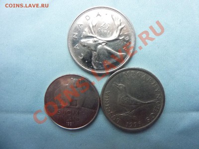 26.12.10 в 18-00 НОВОГОДНЯЯ ВИКТОРИНА победителям подарки! - MEMO0031.JPG
