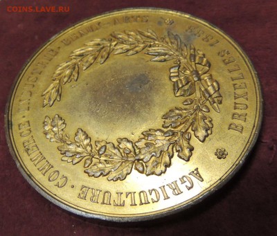 Медаль bruxelles 1888 (Помогите с опознанием и оценкой) - DSCN3045.JPG