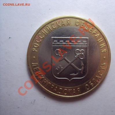 Ленинградская обл. спмд (разновид) - DSC01619.JPG