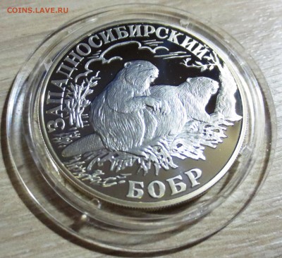 1 Рубль 2001 г. Западносибирский бобр с 200 руб. - IMG_5178.JPG