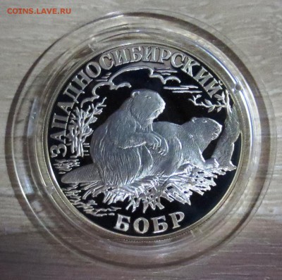 1 Рубль 2001 г. Западносибирский бобр с 200 руб. - IMG_5169.JPG
