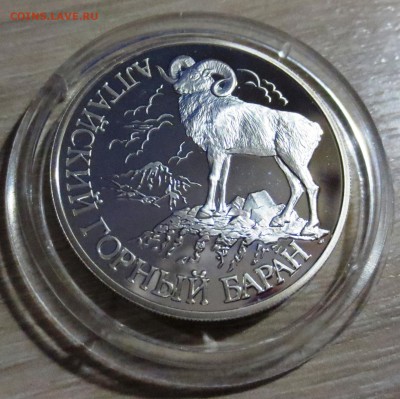 1 Рубль 2001 Алтайский Баран с 200 рублей. - IMG_5174.JPG