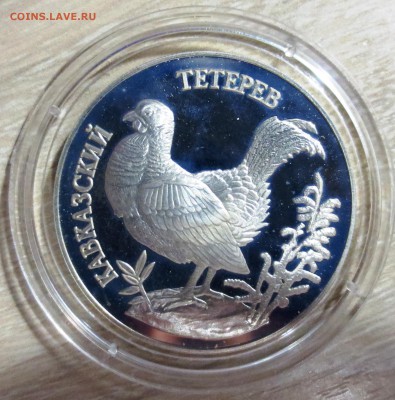 1 Рубль 1995г. Кавказский тетерев с 200 руб. - IMG_5181.JPG
