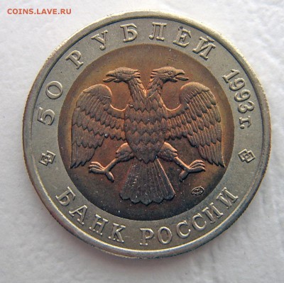 Красная книга 1993 Кавказский тетерев до 12.11. 22-00 - Тетерев-3
