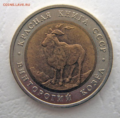 Красная книга 1991 Винторогий козел до 12.11.22-00 - Винторогий козел1-1