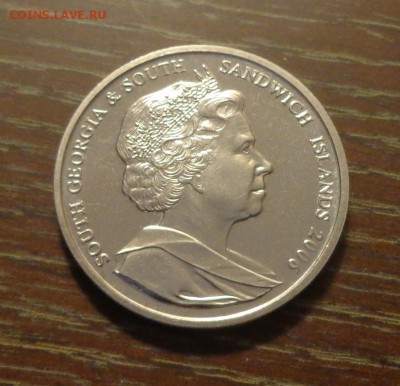 Ю.Георгия и Ю.Сэндвичевы о-ва - ПИНГВИНЫ до 15.11, 22.00 - Юж. Джорджия и Юж. Сандвичевы о-ва Пингвин Рокхоппера_2