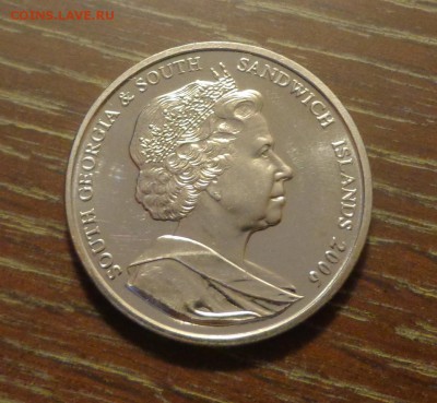 Ю.Георгия и Ю.Сэндвичевы о-ва - МОРСКИЕ КОТИКИ 15.11, 22.00 - Юж. Джорджия и Юж. Сандвичевы о-ва Морские котики_2