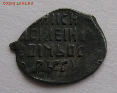 Чешуя , опознание и оценка. - IMG_3567.JPG