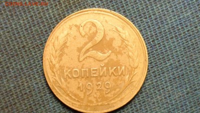 2 копейки 1929 года шт.1.3а оценка - DSC04134.JPG