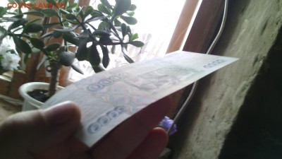 5000 руб. 1995 г. aUNC до 22:10 10.11.16 КОРОТКИЙ с блиц - IMG_20161110_114646