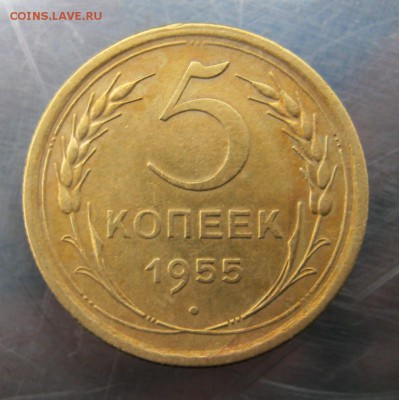5 копеек 1955 год. до 13.11 в 22-00. - IMG_5682.JPG