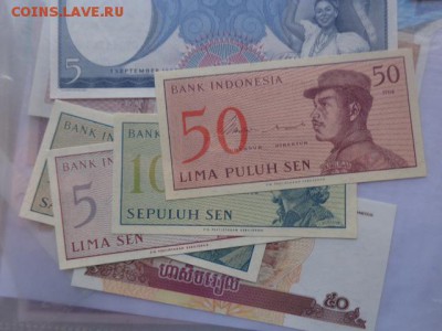 Индонезия 1-5-10-50 UNC  до 21-00 мск  14.11 - DSC06375.JPG