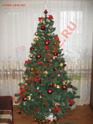Фото новогодних ёлок - IMG_5542