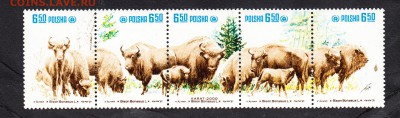 Польша 1981 зубры сцепка - 249