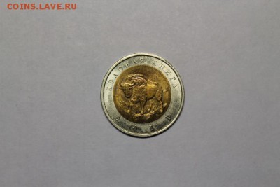 КК 1994 Зубр анц до 17.11.2016 в 22:00 - IMG_4920.JPG