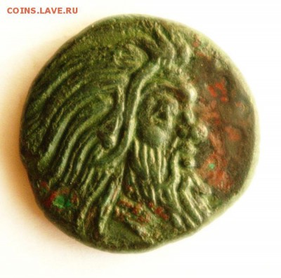 тетрахалк_Пантикапей_Перисад_ I_грифон - ТХ1