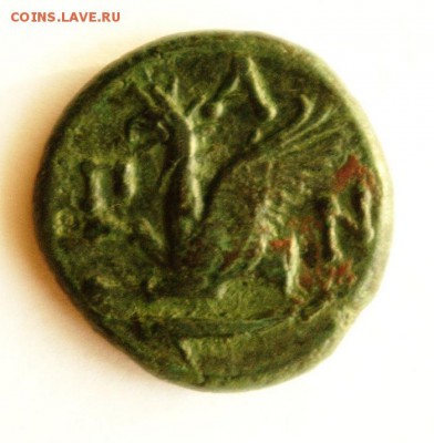 тетрахалк_Пантикапей_Перисад_ I_грифон - ТХ2