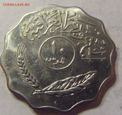 10 филс 1981 Ирак 18.11.2016 22:00 МСК - CIMG2433.JPG