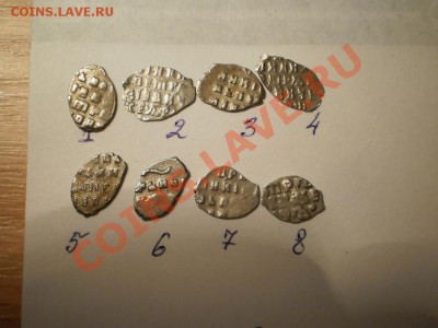 Петр Алексеевич, чешуйки, 8 шт.,до 30.12 в 20:00 МСК - 8-4.JPG