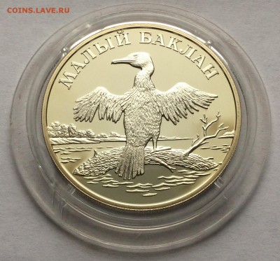 1 рубль 2003 год Малый баклан - IMG_1350.JPG