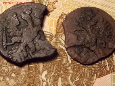 Полушка 1737г. Денга 1741г. по фиксу.Брак - DSCN5142.JPG