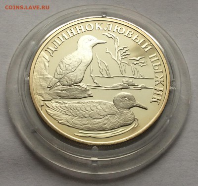 1 рубль 2005 год Длинноклювый пыжик - IMG_1342.JPG