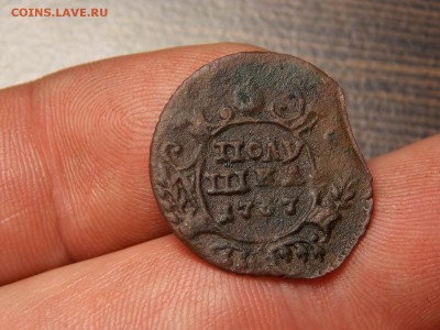 Полушка 1737г. Денга 1741г. по фиксу.Брак - DSCN5137.JPG