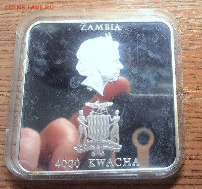 4000 квача 2001г. Замбия  Иллюзия. - P_20161113_191058