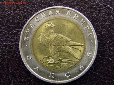 Красная книга Сапсан до 18.11.16   22-00Мск - PB120059.JPG